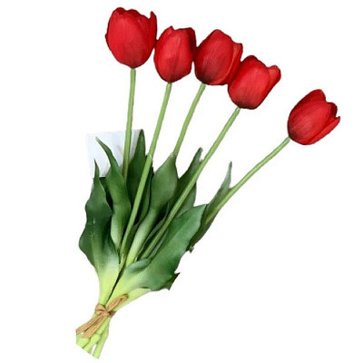 گل لاله لاتکس شاخه ای